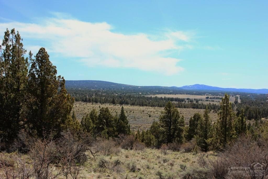 Photo of Lot 93 Hondo 3 of 13