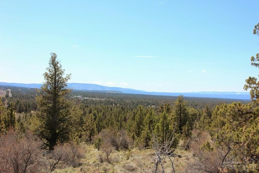Photo of Lot 93 Hondo 4 of 13