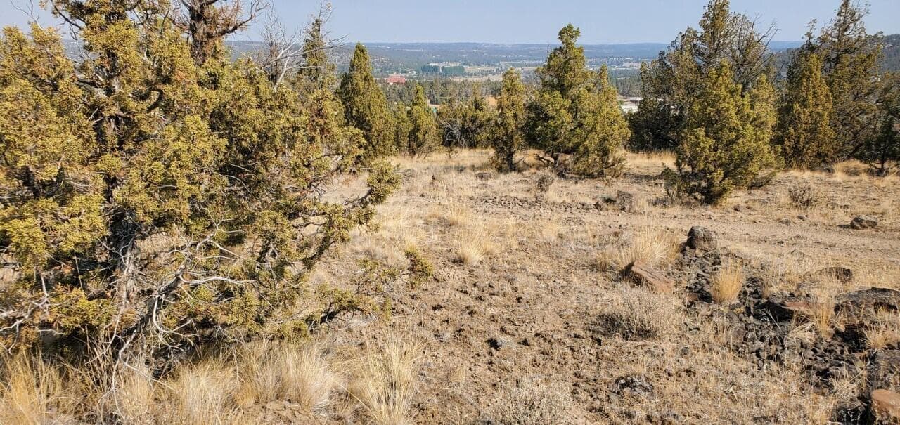 Photo of Browning 4 of 4