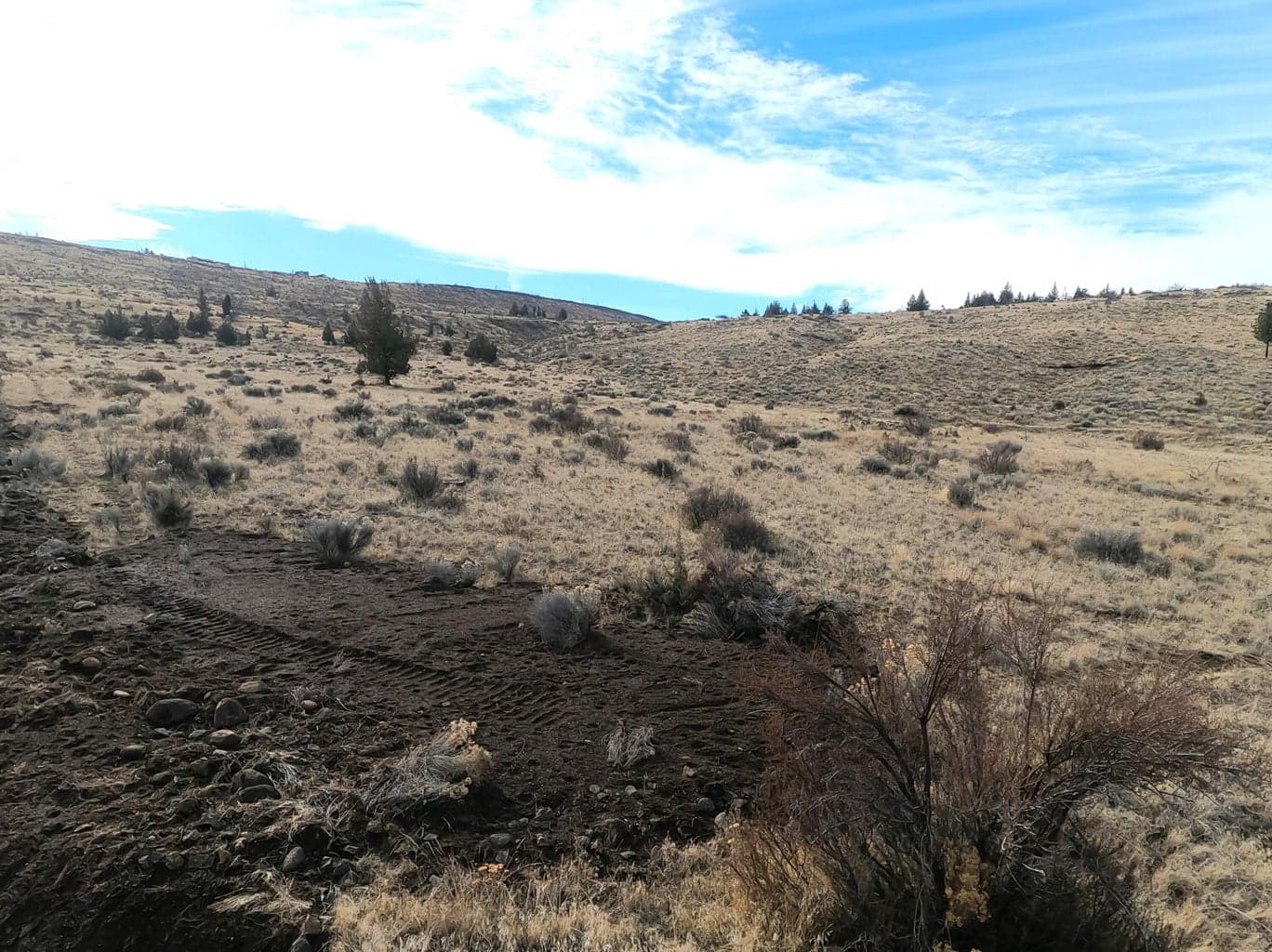 Photo of 4 Lakeview 3 of 11