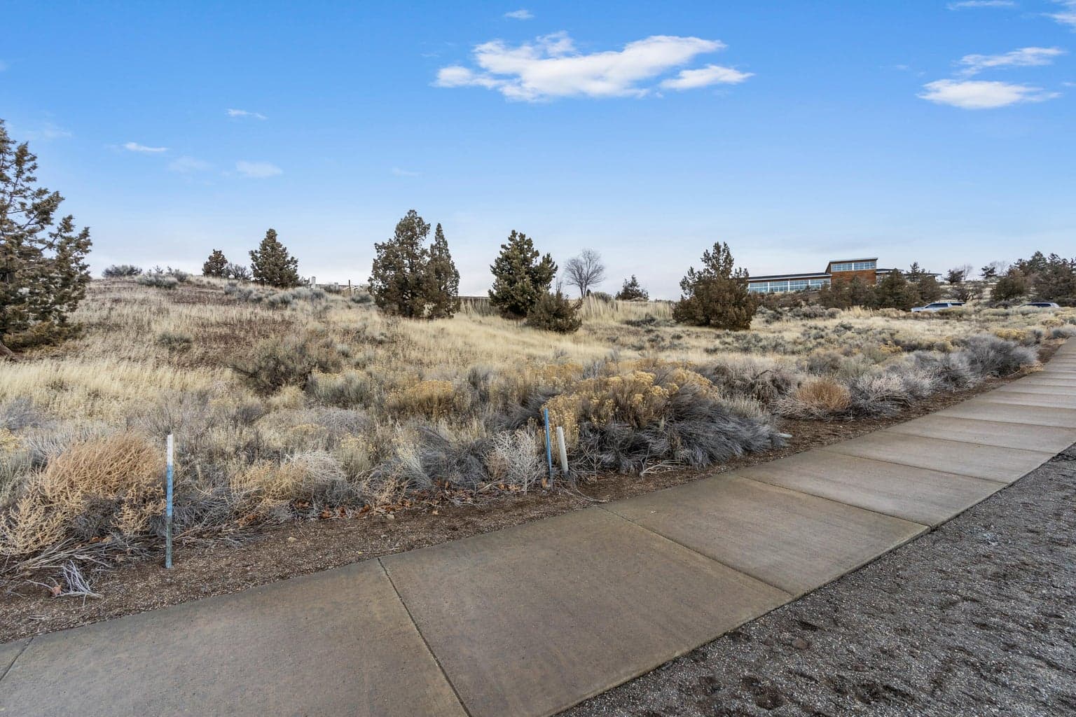 Photo of Fescue 3 of 17