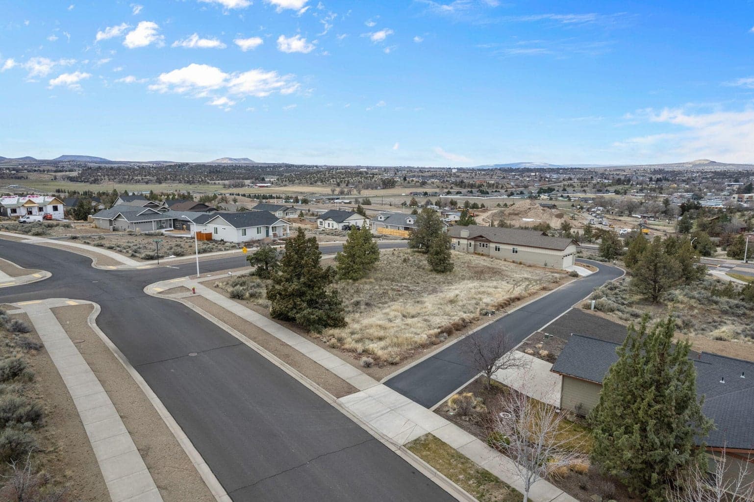 Image highlighting native plants and shrubs across the lot.
