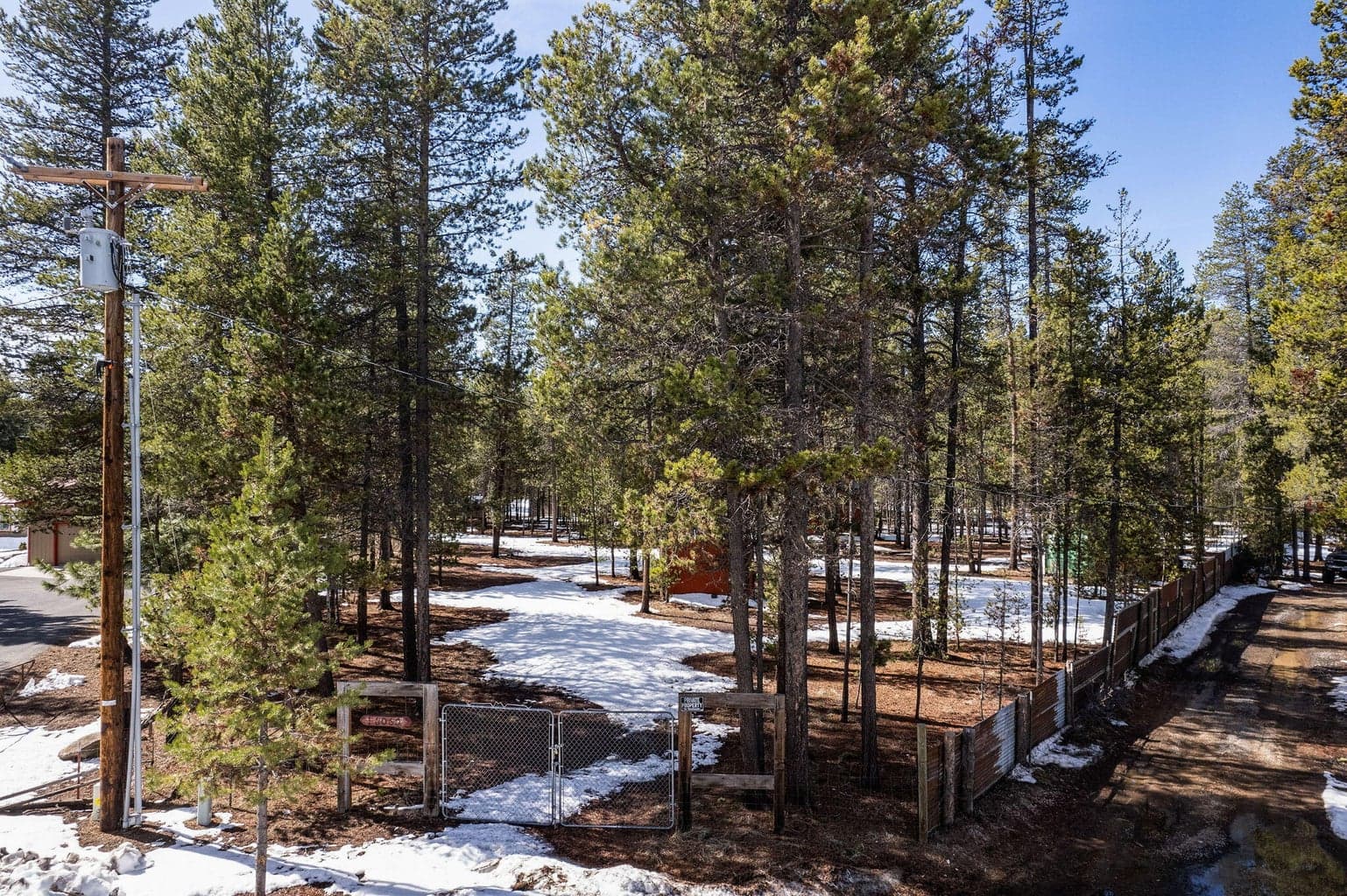 Expansive property surrounded by tall pines, showcasing the natural beauty and privacy of the site.