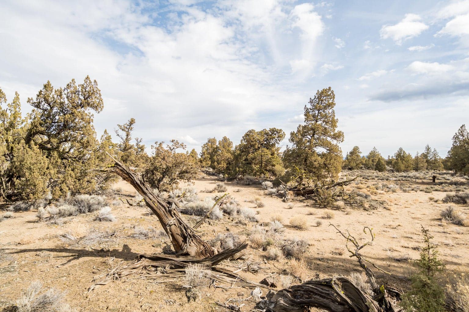 Photo of 65660 Pronghorn Estates 5 of 21