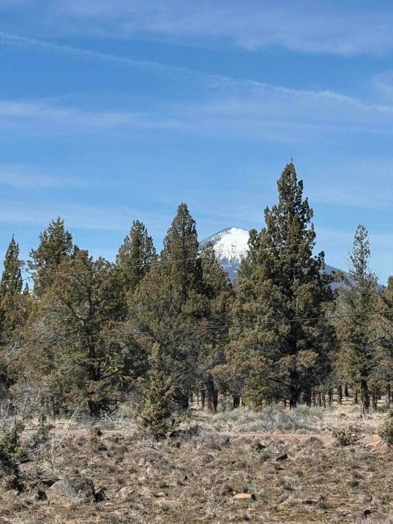 Photo of 69580 Pine Ridge 5 of 18