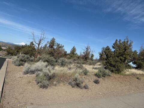 Photo of 1700 Kemper Way 3 of 17
