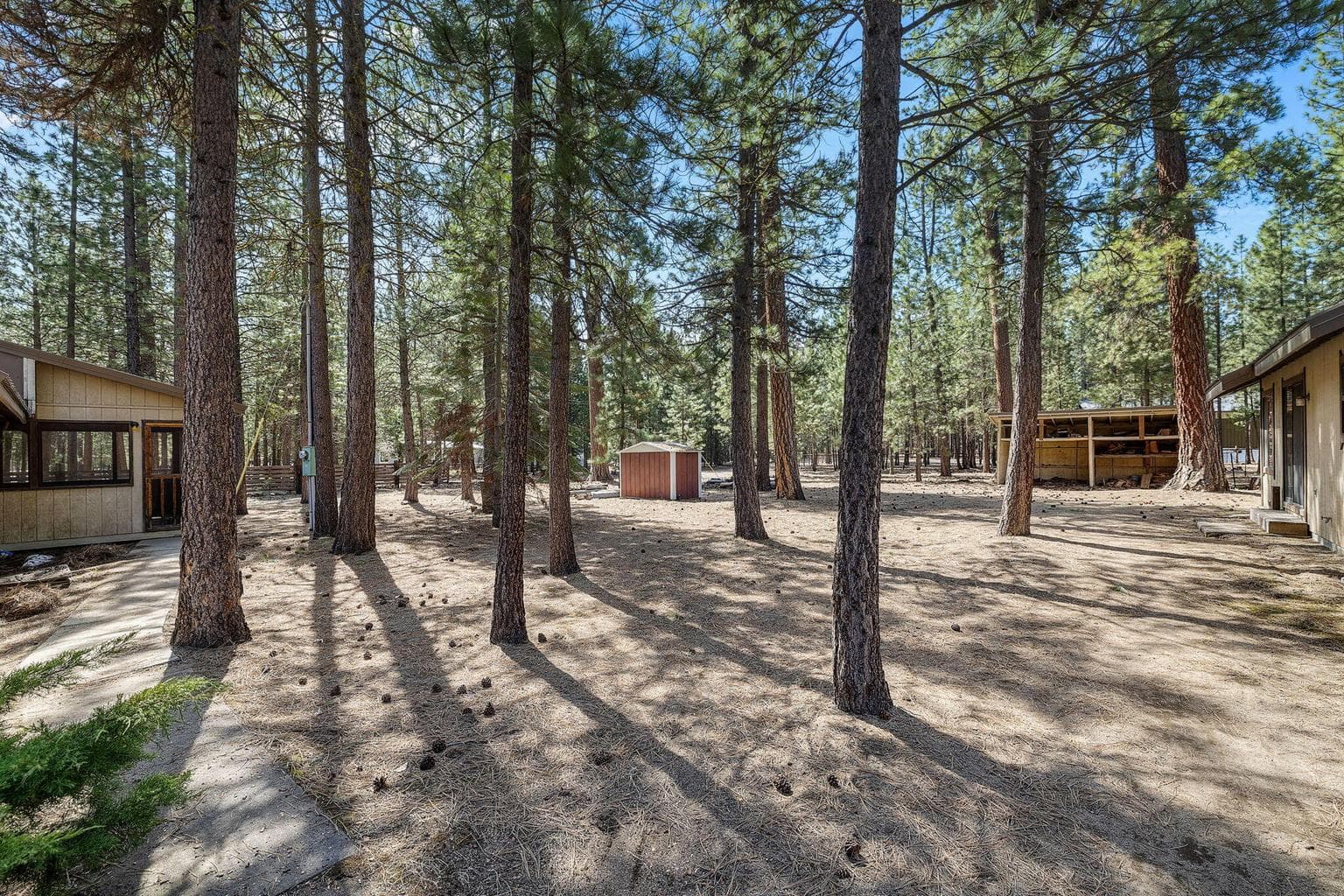 Fenced back yard