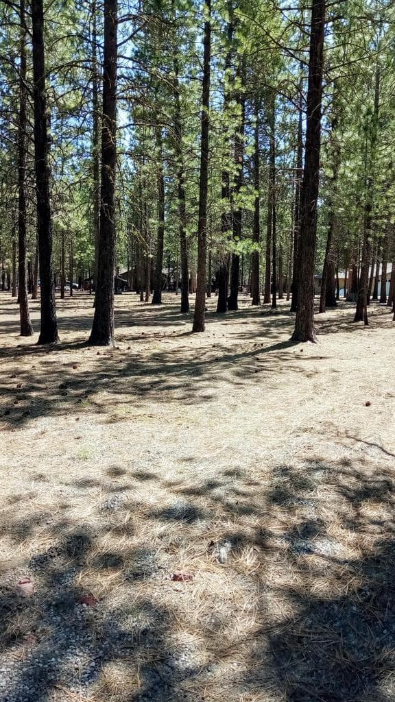 Photo of 52170 Ponderosa 2 of 11