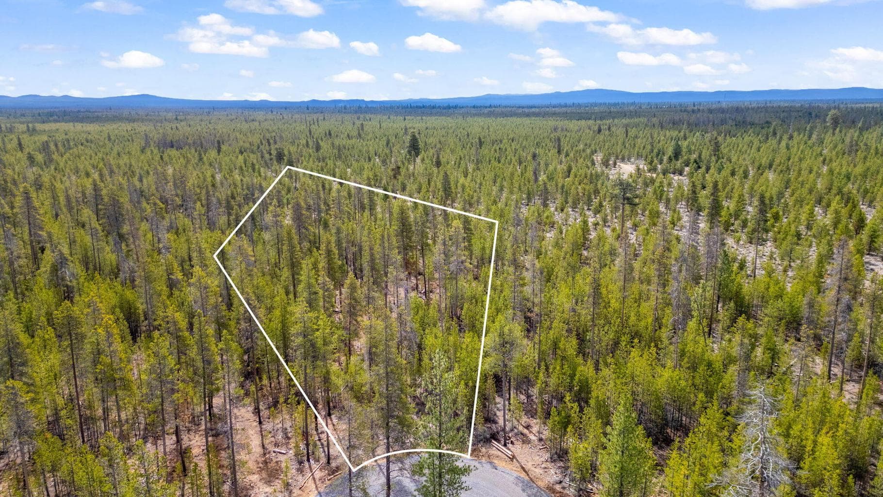 Estimated Property Lines