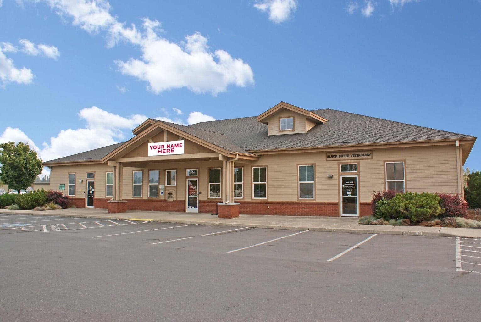 703 Larch