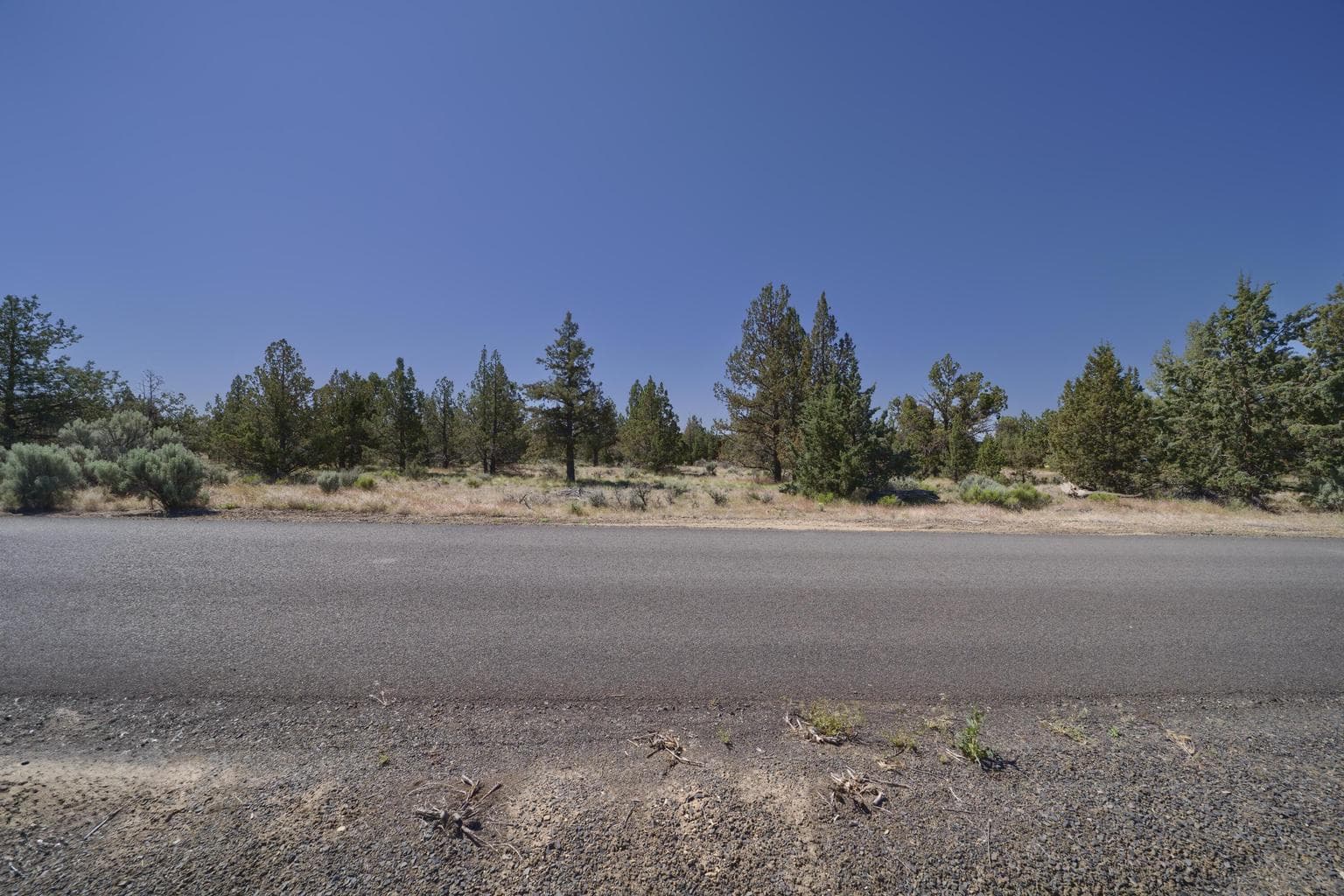 Photo of TL 4900 SE Custer 3 of 21