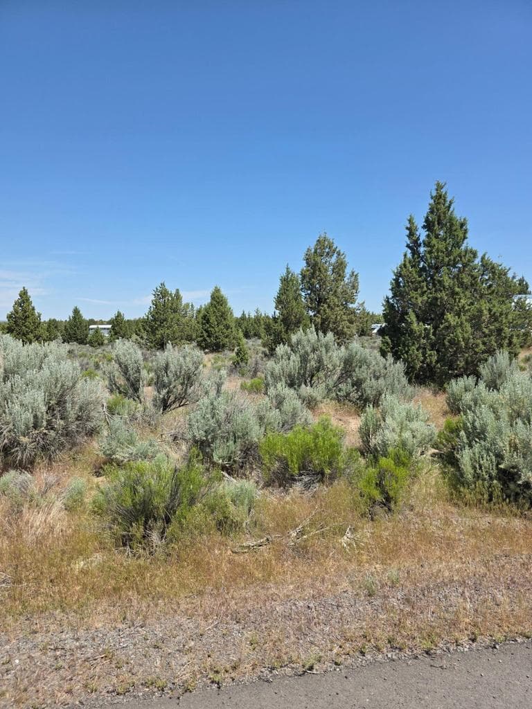 Photo of 3449 Teton 4 of 5