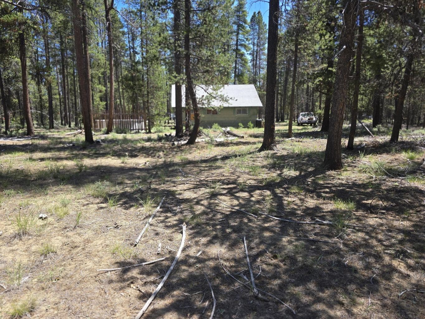 View if from the back of the property look toward back of the cabin.