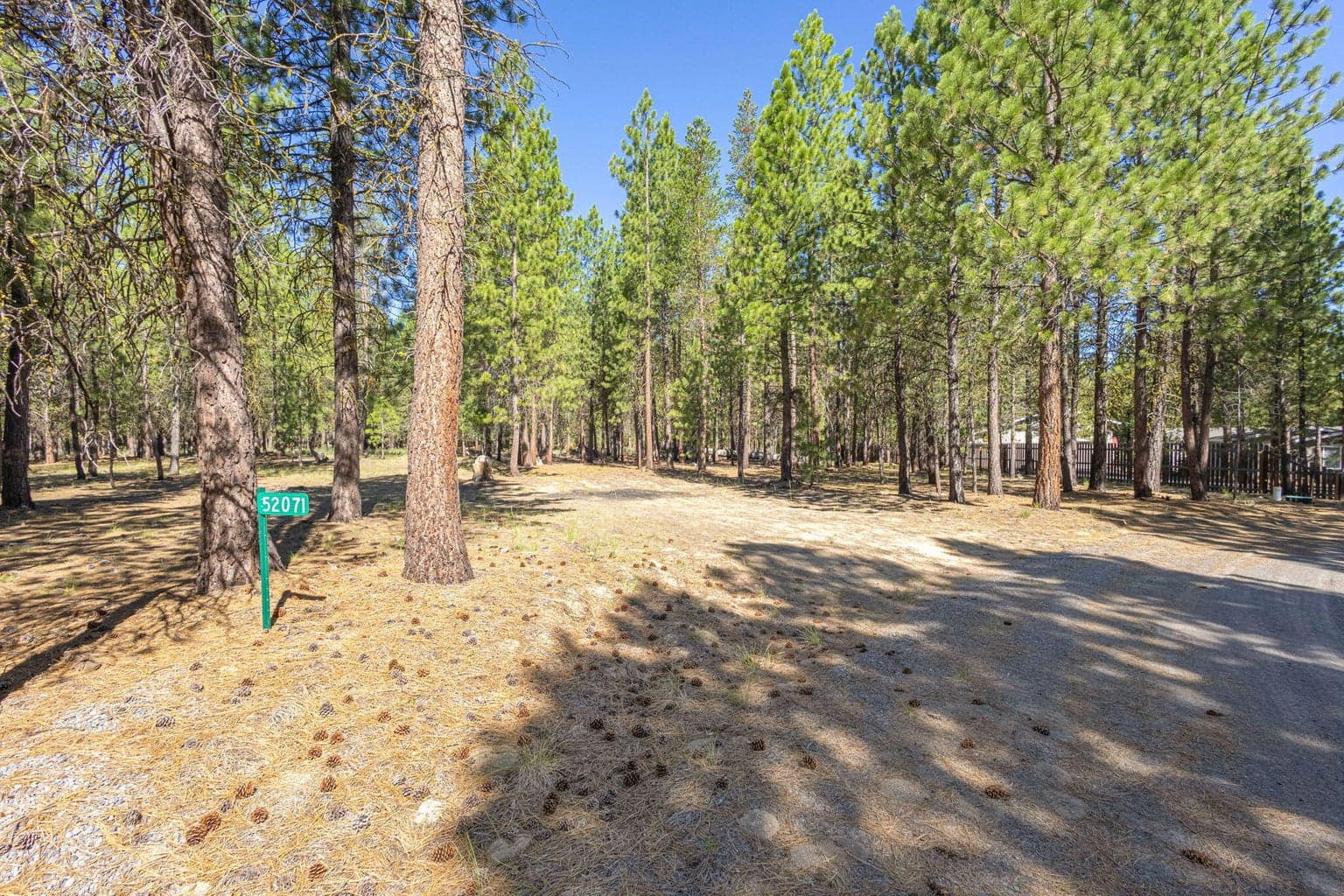Photo of 52071 Red Pine 2 of 23