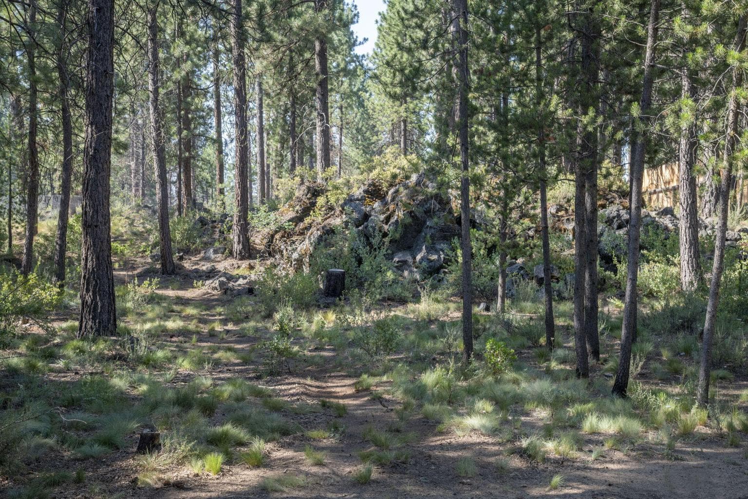 Photo of 16945 Jacinto 5 of 22