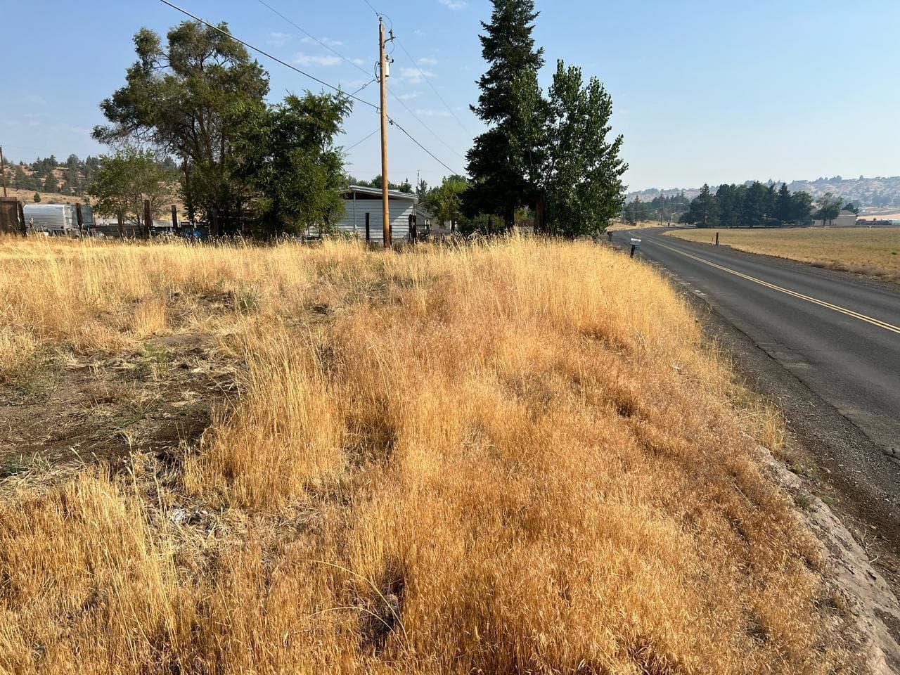 Photo of 370 Meadowlark 3 of 4