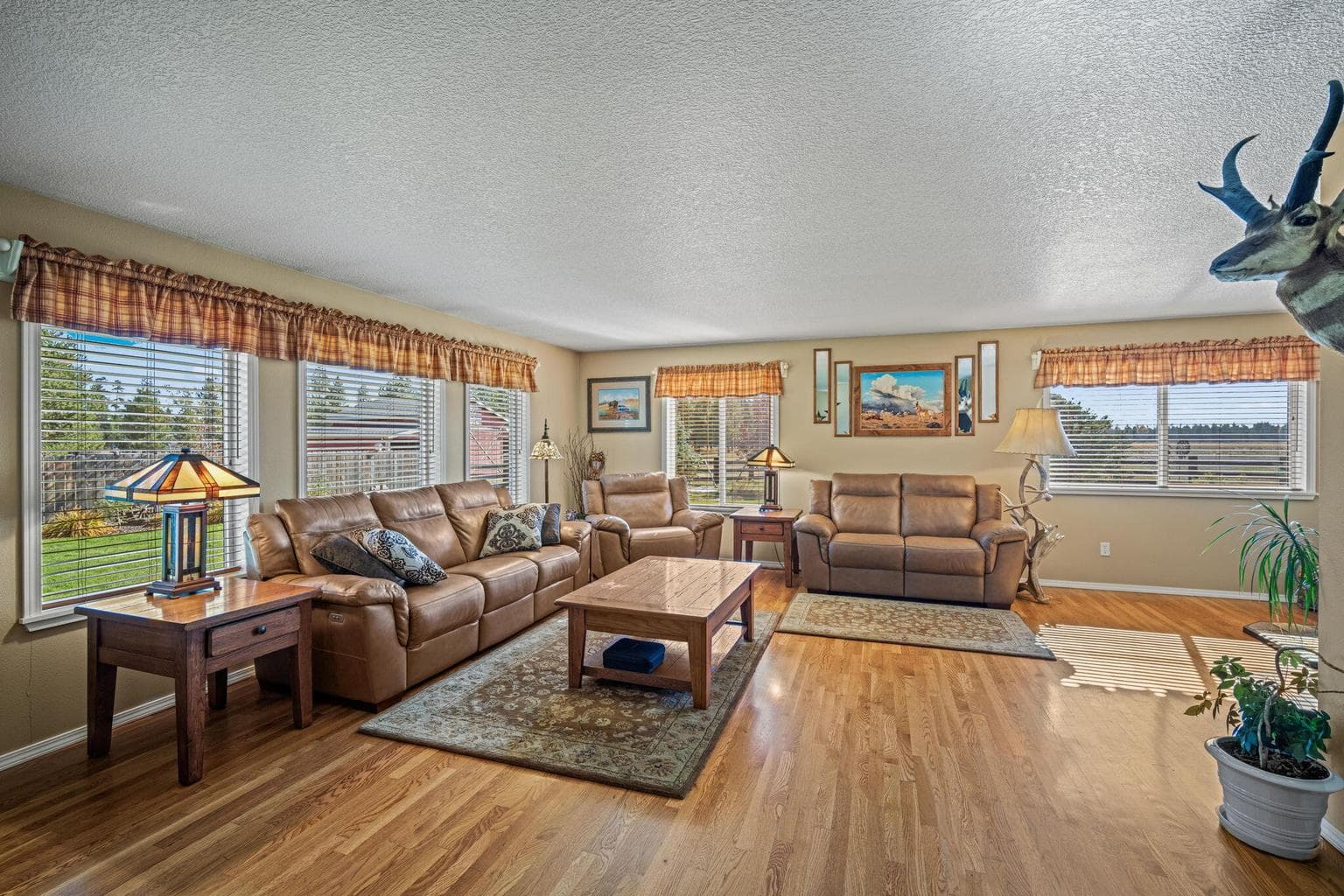 Living room east and south facing windows