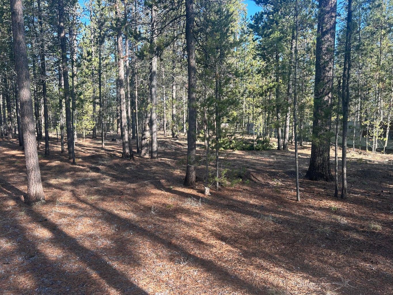 Peaceful, easy build-site...