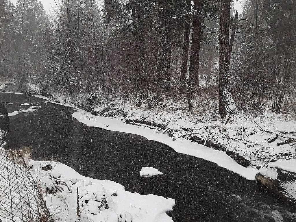 Photo of 133 Black Crater 4 of 14