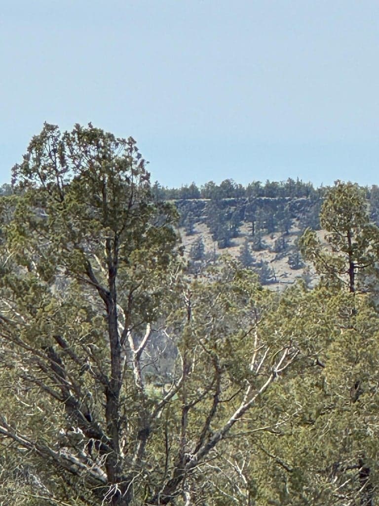 Photo of 69850 Lower Valley 3 of 16