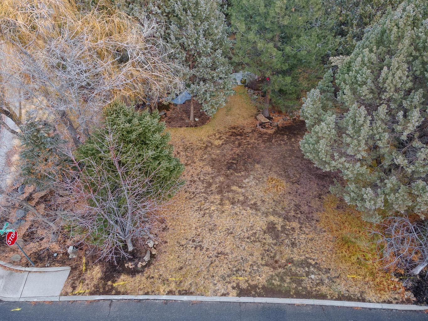 Photo of 3162 Craftsman 4 of 8