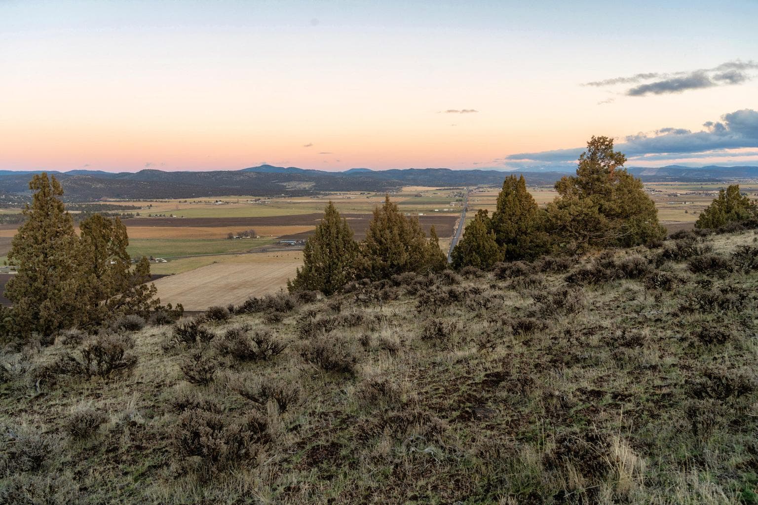 Panorama View