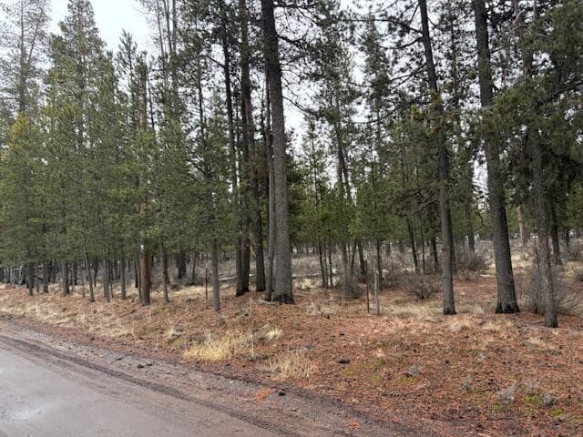 Photo of Sun Forest 1 of 20