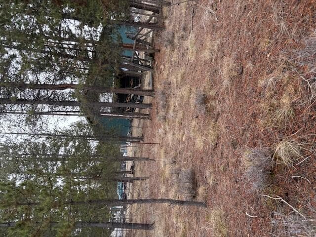 Photo of Sun Forest 5 of 20