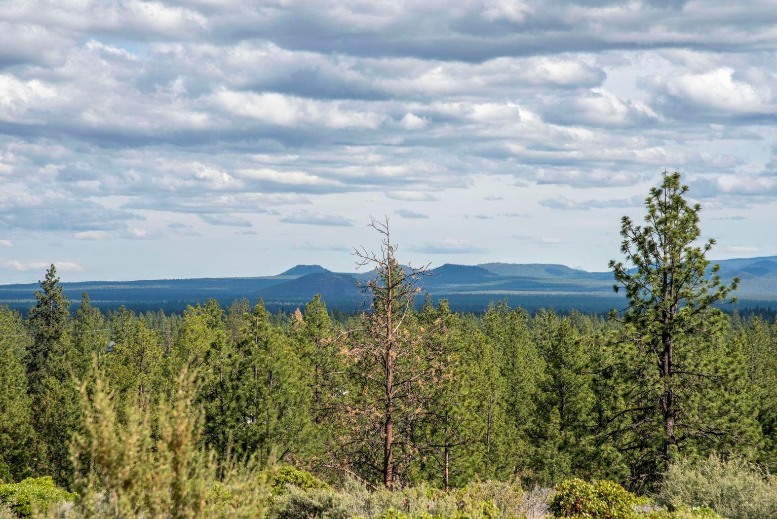 Photo of 19121 Horizon View 4 of 19