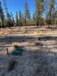Photo of Pinewood 3 of 6