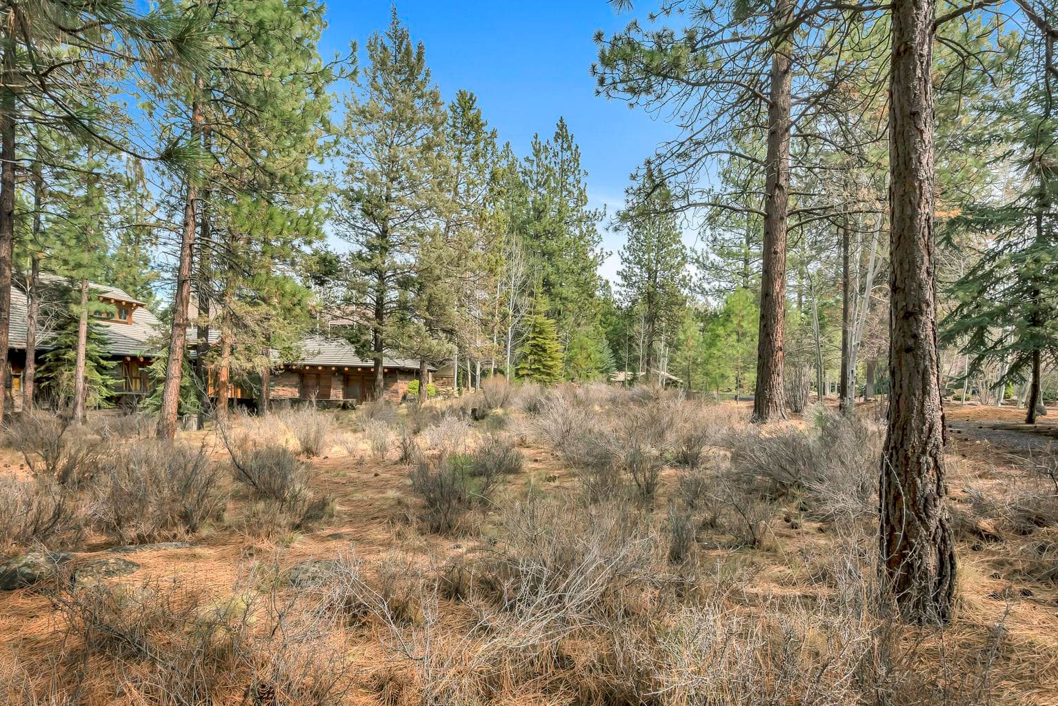 Photo of 19374 Rim Lake 2 of 14