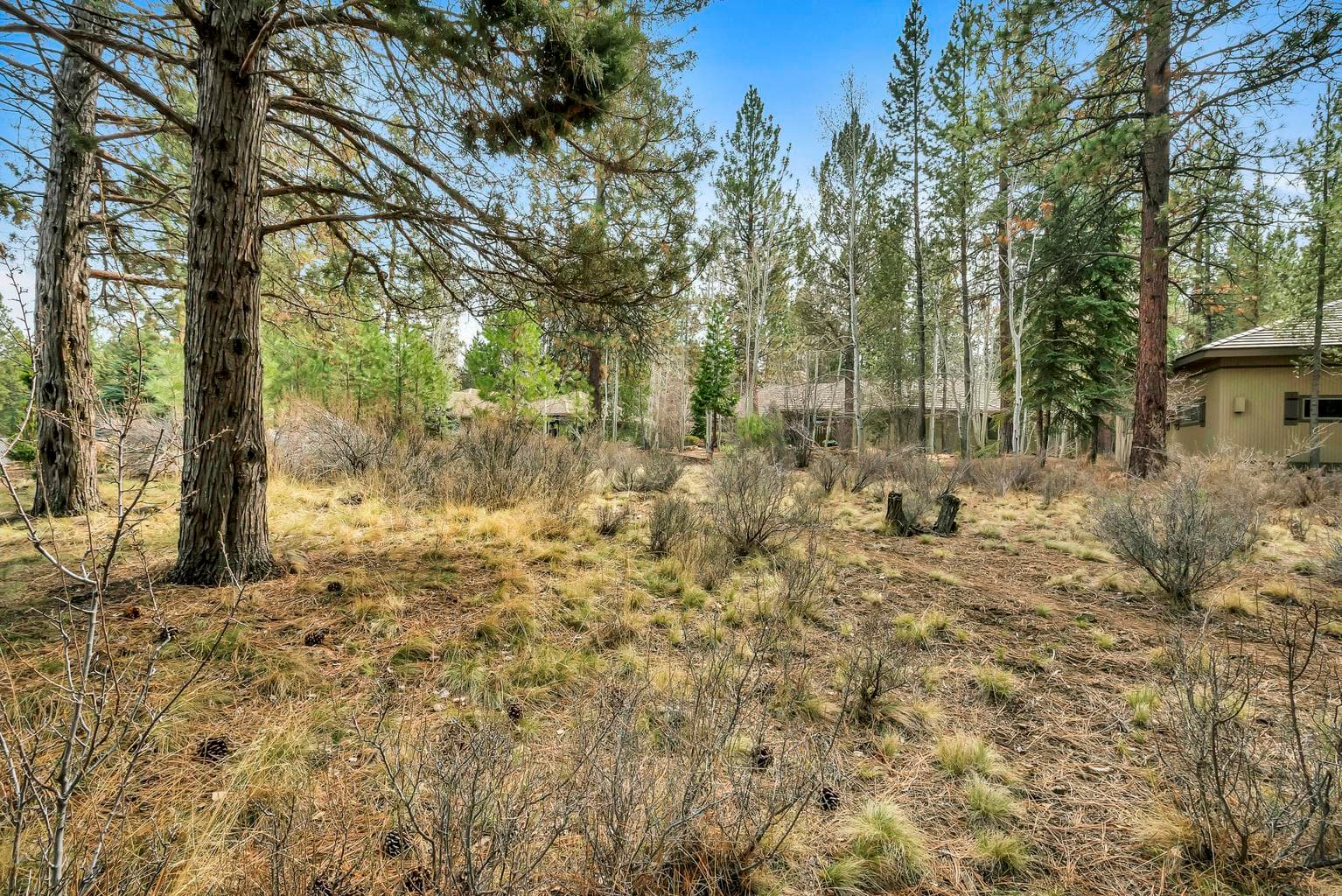 Photo of 19374 Rim Lake 4 of 14
