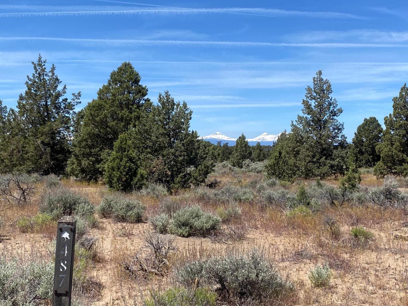 Photo of Chaparral 5 of 26