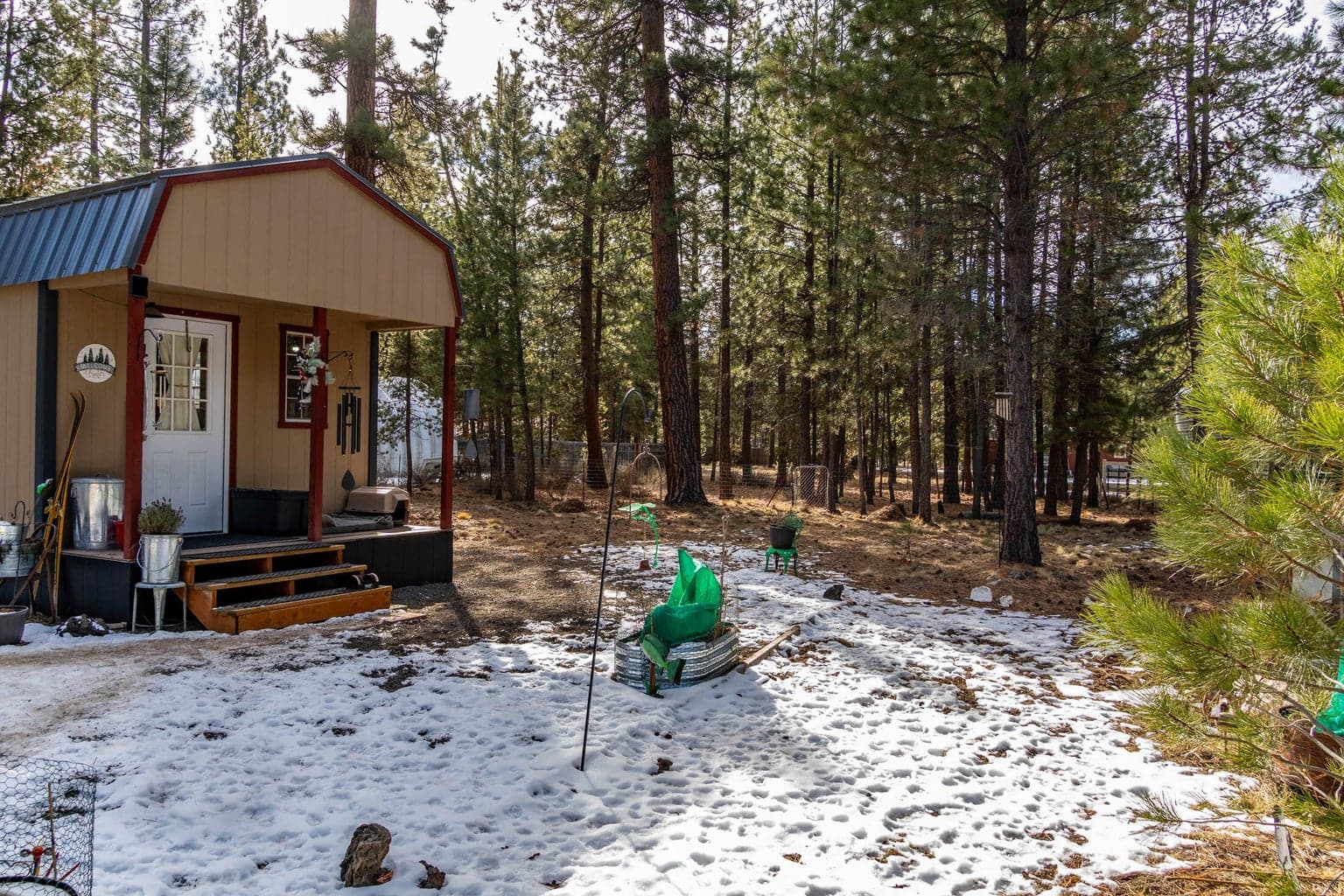 Photo of 52739 Ammon 4 of 50