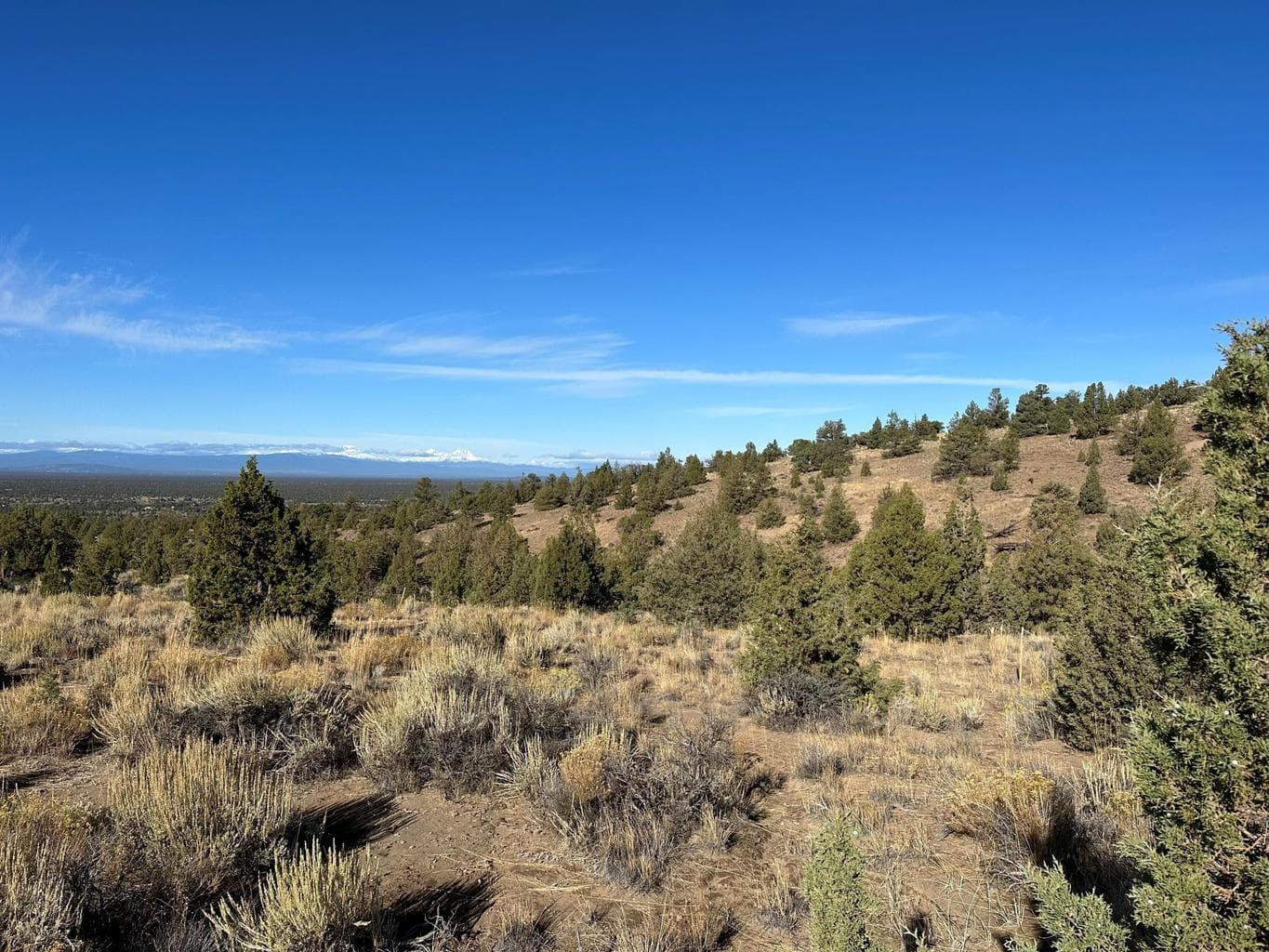 Photo of Pinnacle 3 of 18