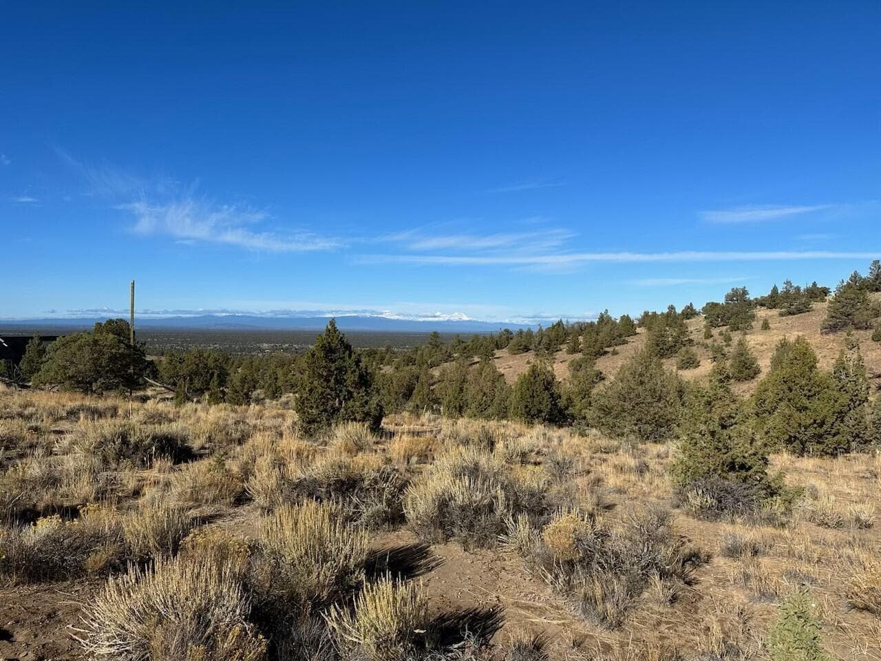 Photo of Pinnacle 4 of 18