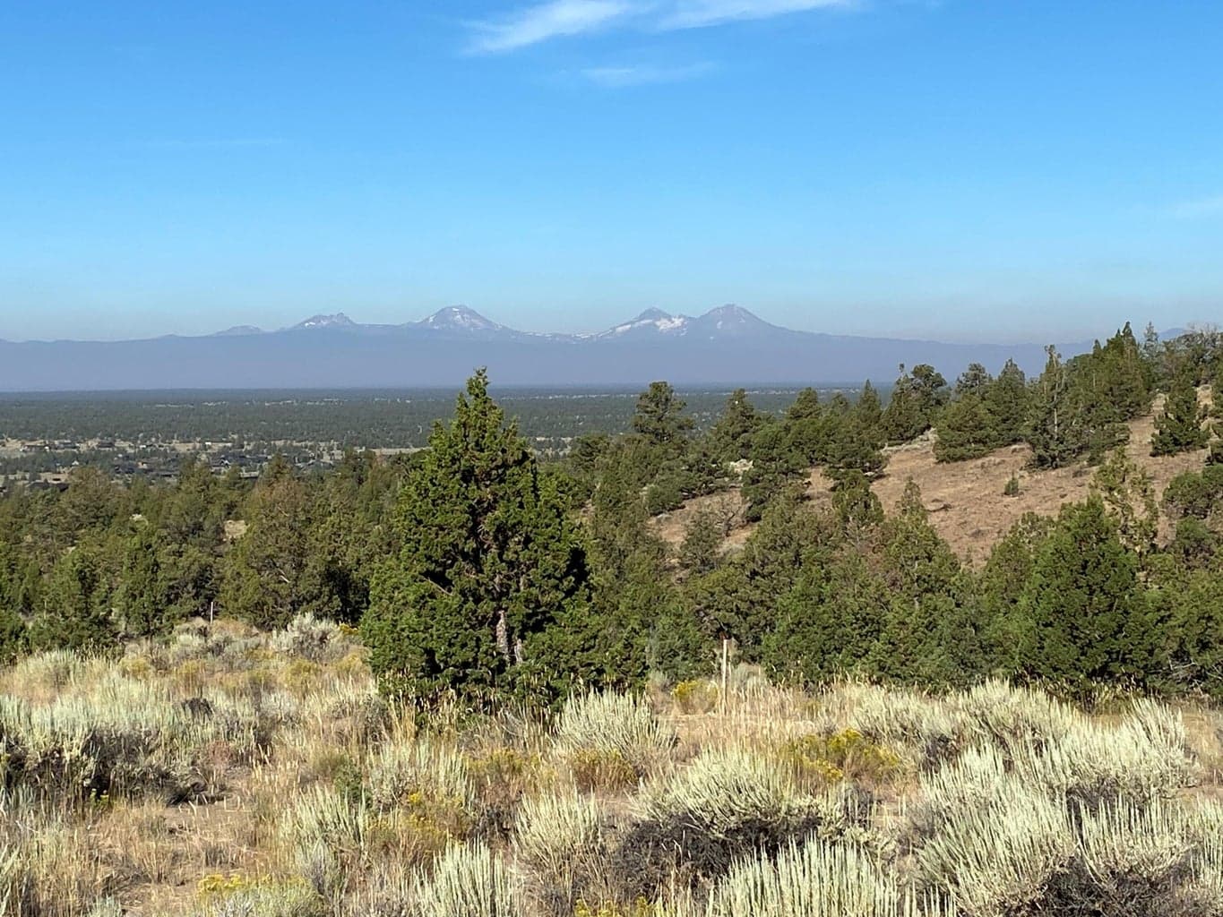 Photo of Pinnacle 5 of 18