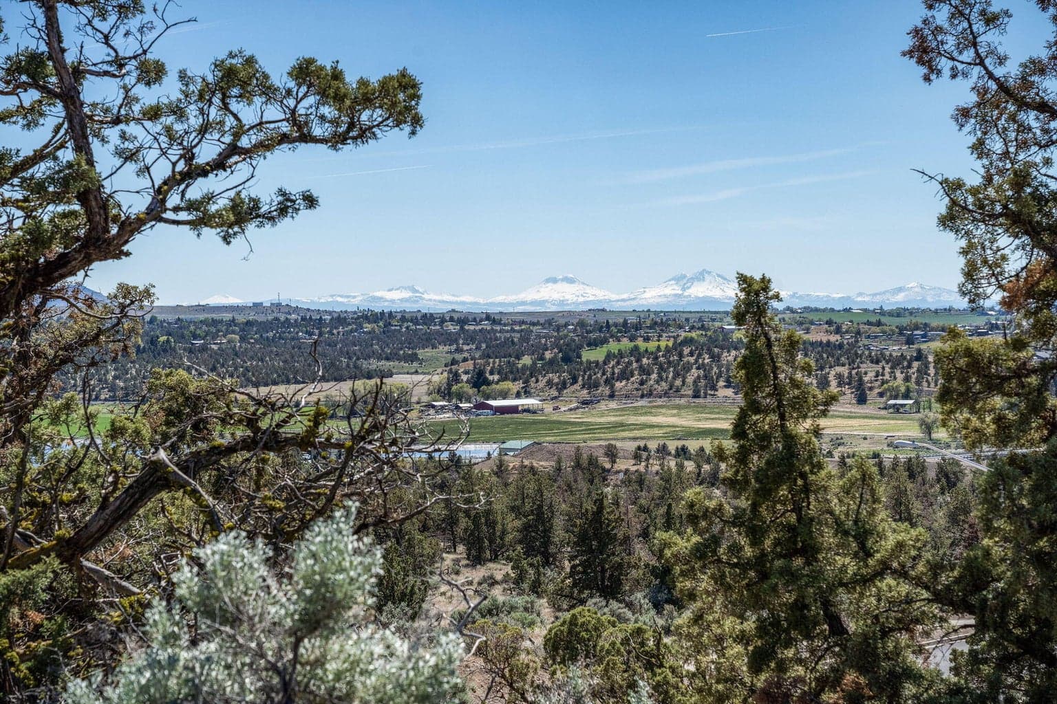 Photo of Manzanita 5 of 17