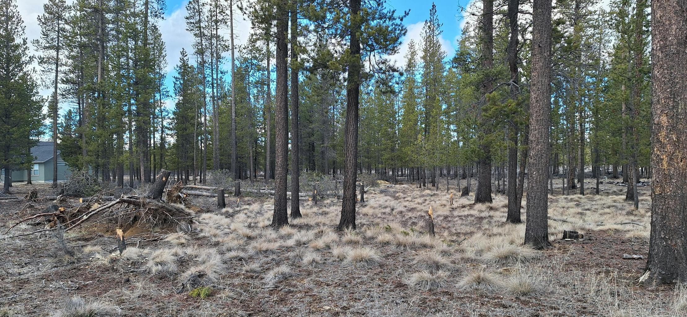 Photo of Sun Forest Drive 3 of 8