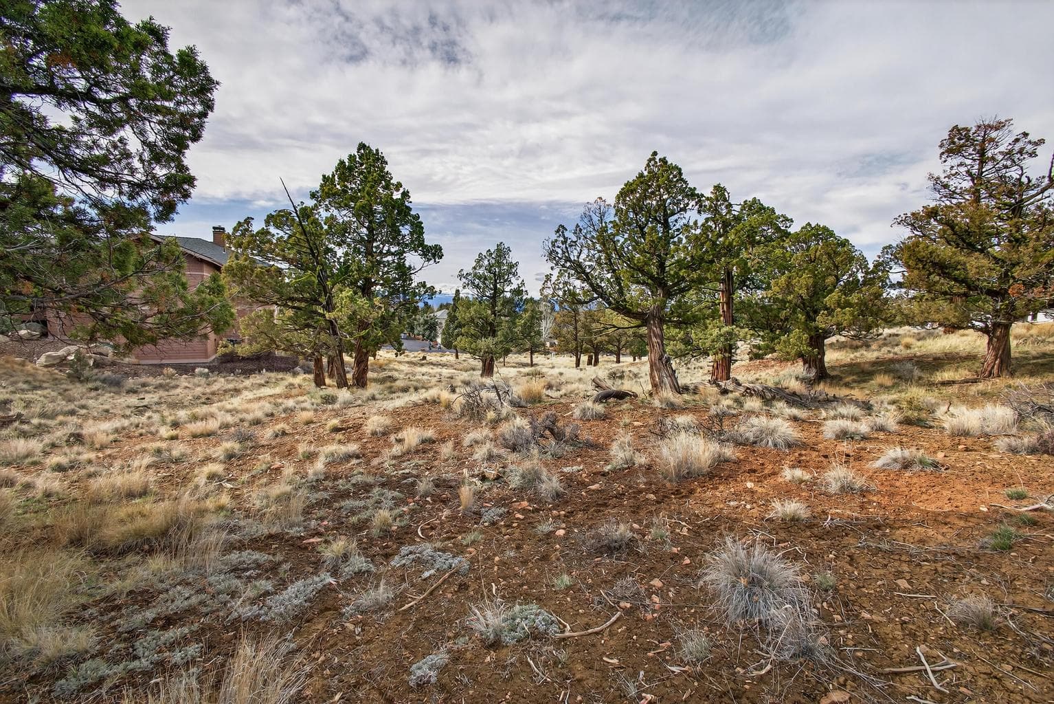 Photo of 1386 Spring Ridge 2 of 11