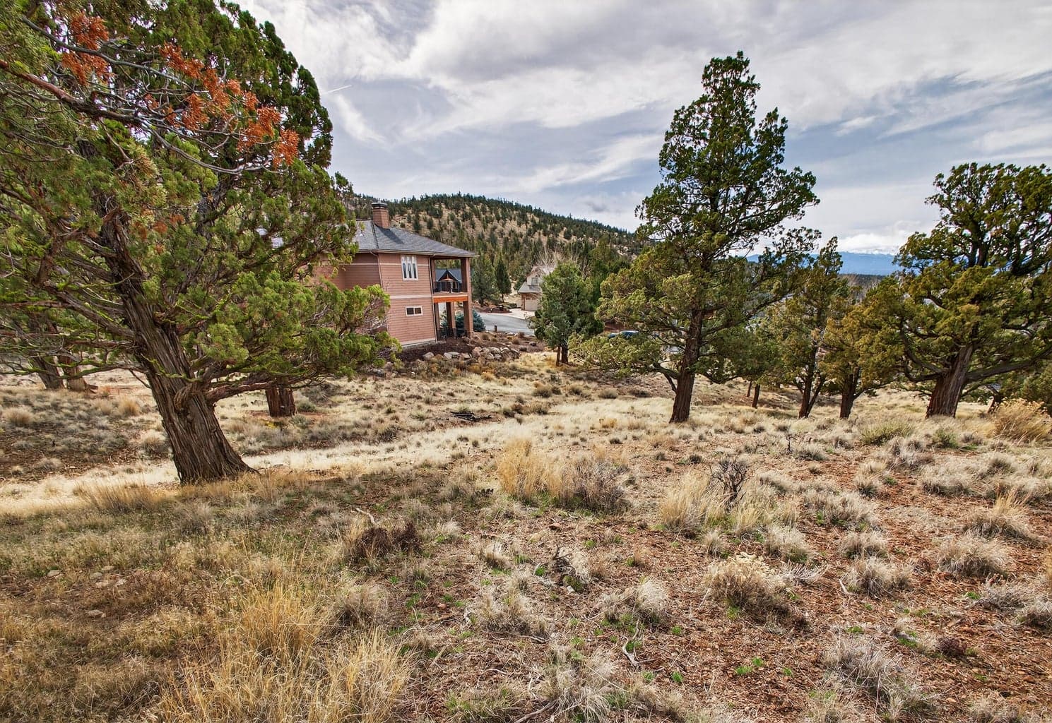 Photo of 1386 Spring Ridge 3 of 11