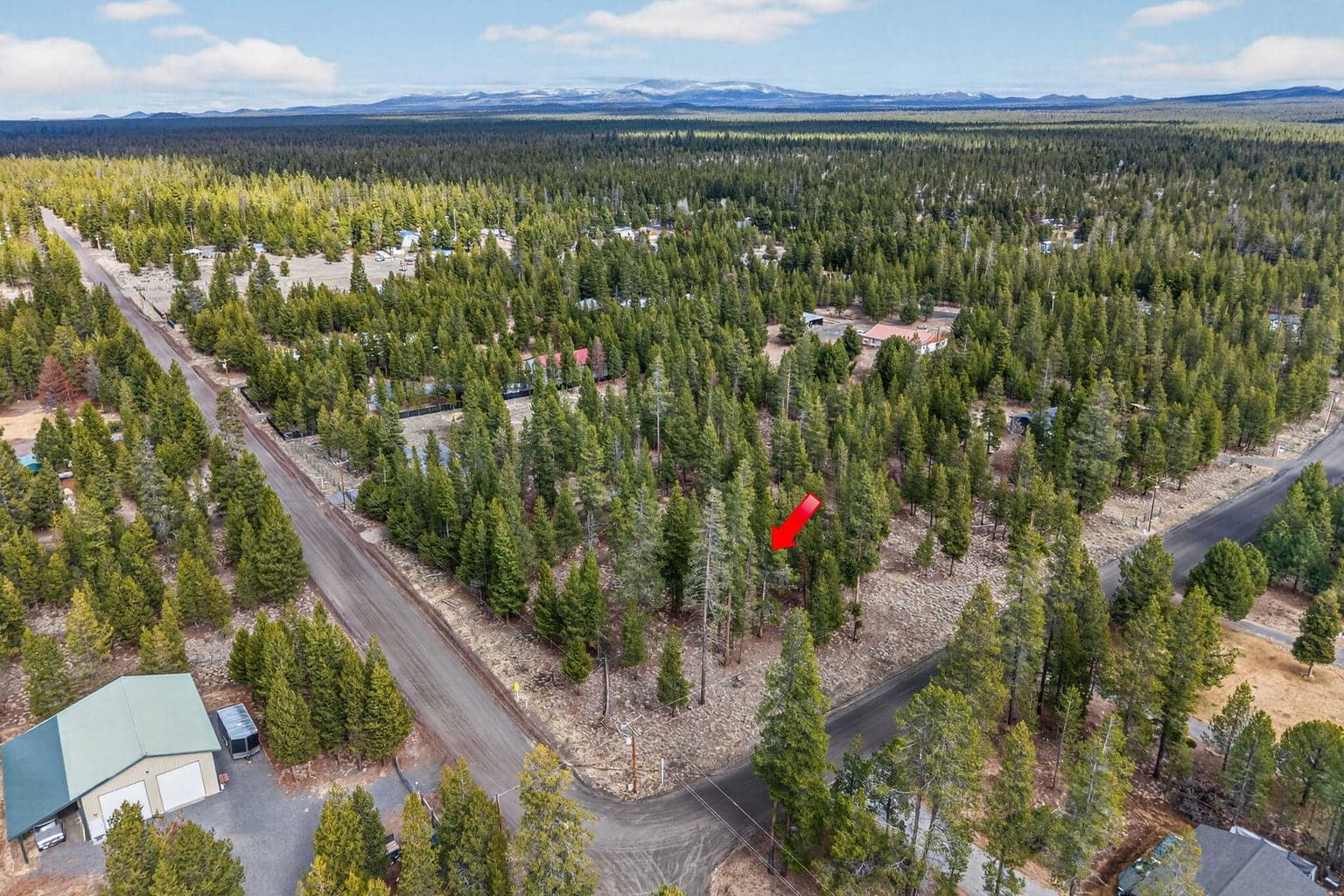 Photo of Birchwood 3 of 10
