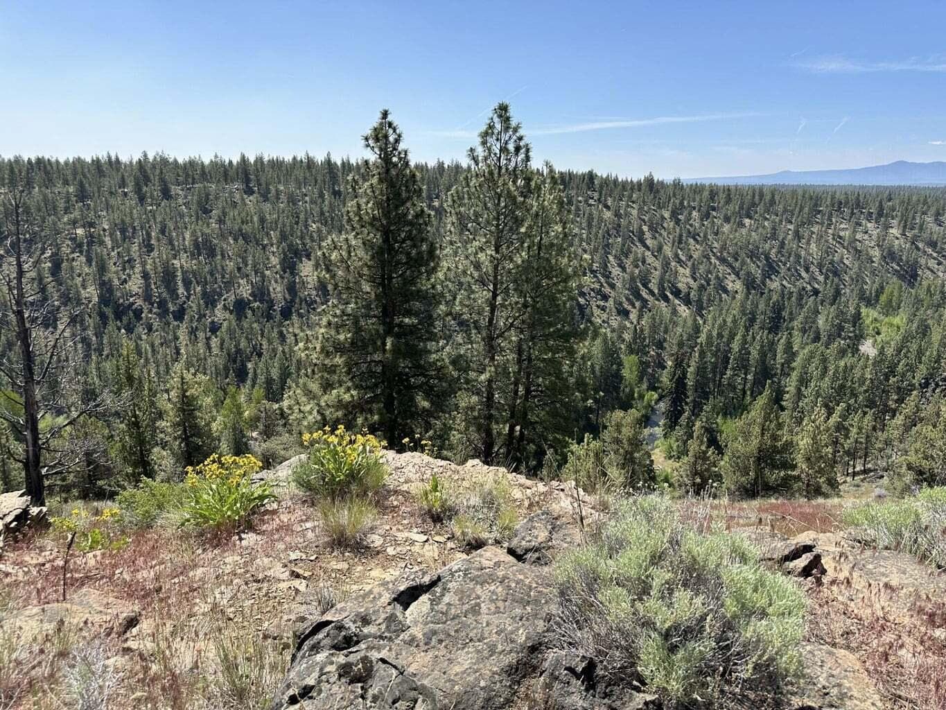 Photo of 17127 Mountain View 2 of 16