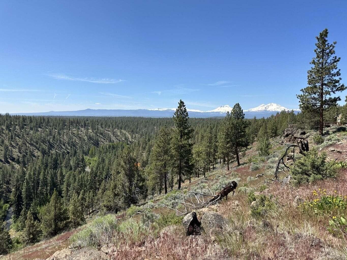 Photo of 17127 Mountain View 4 of 16