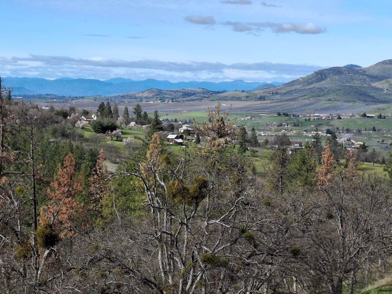 Valley View from City Land