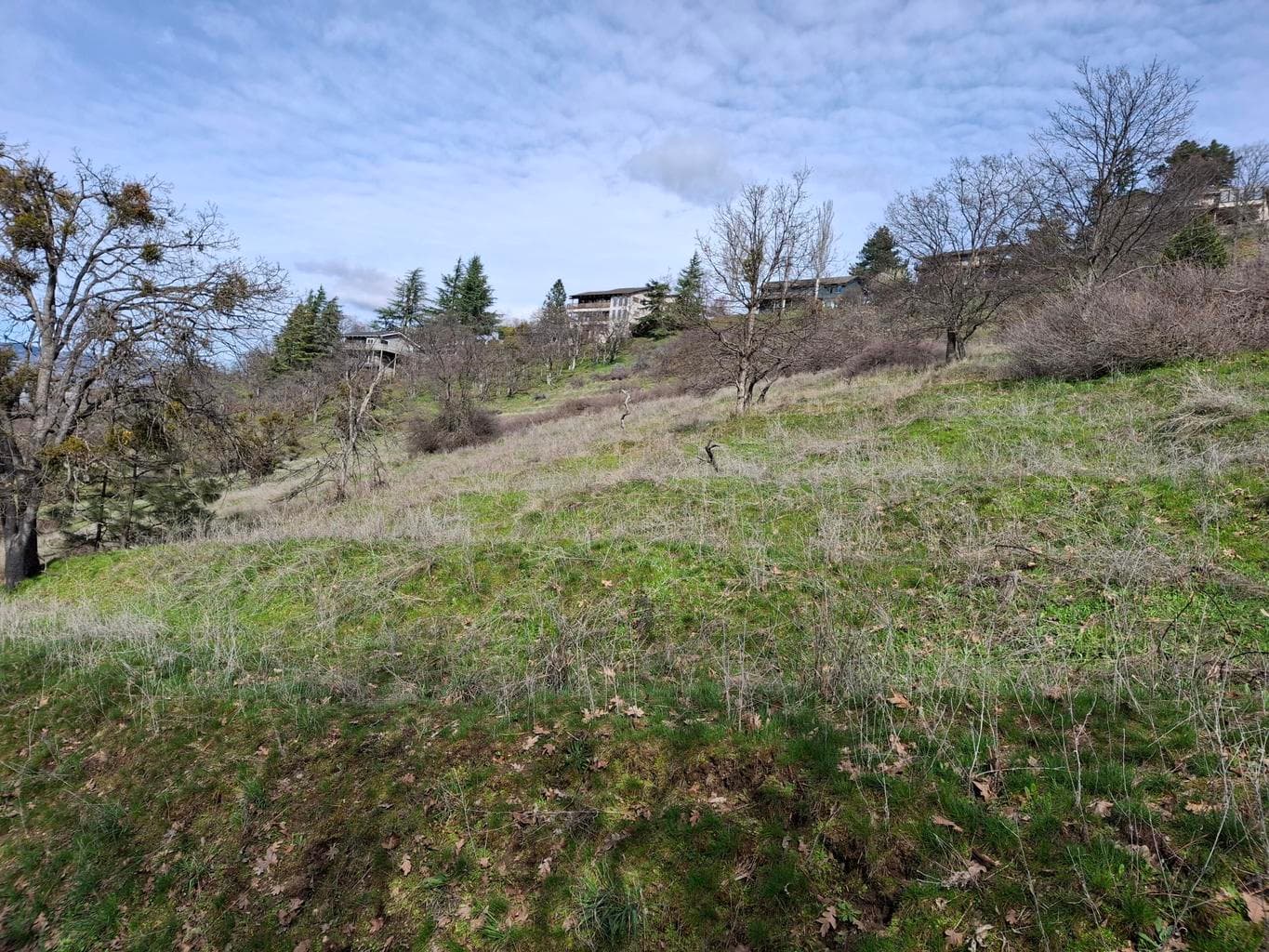 5.5 Ac from SW Corner