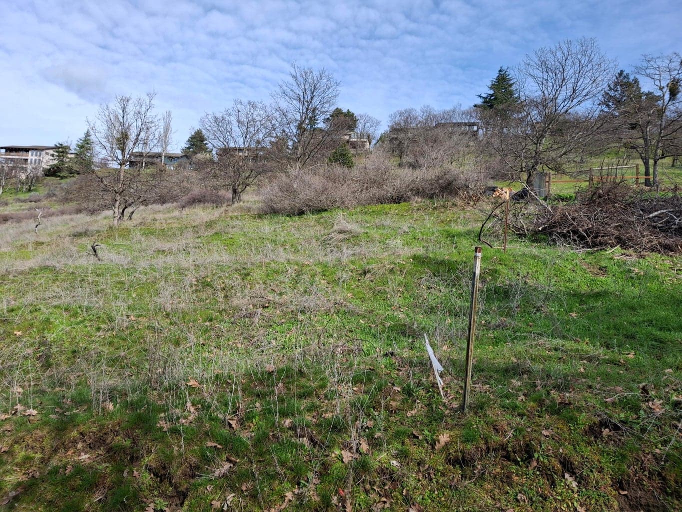 S Property Line from Prather to Pape