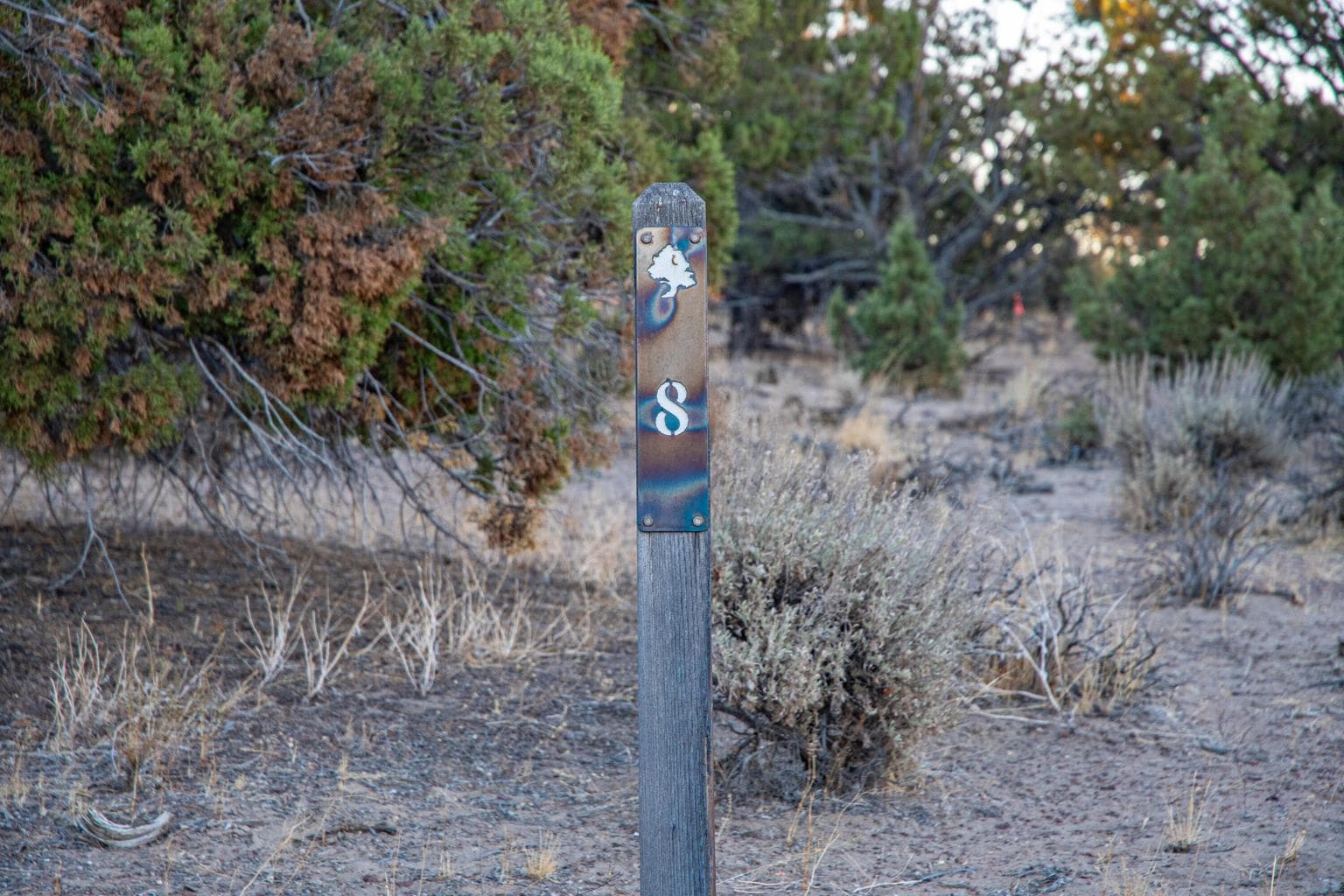 Photo of Vaqueros 2 of 38