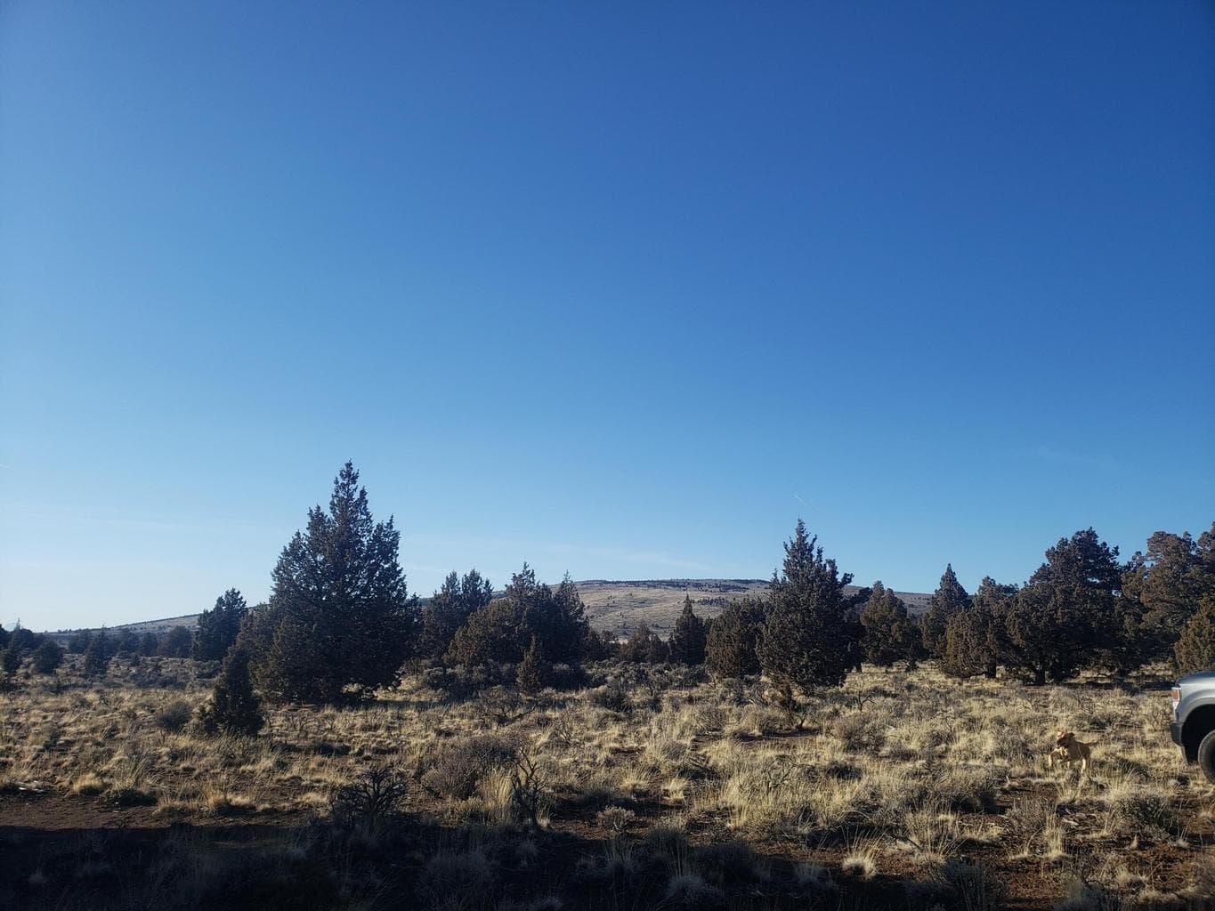 view of West Butte
