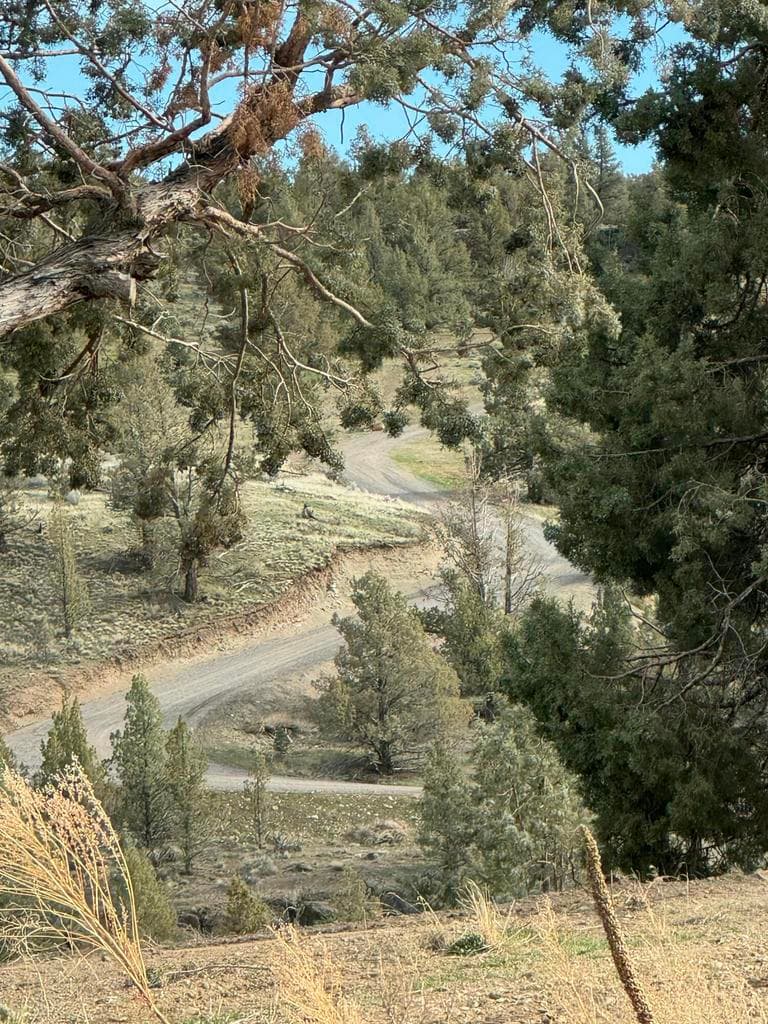 Photo of 69800 Lower Valley 5 of 18
